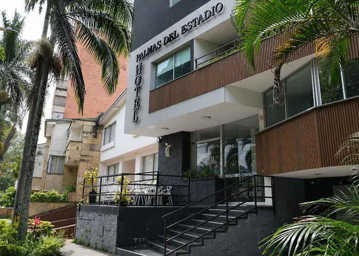Hotel Palmas del Estadio