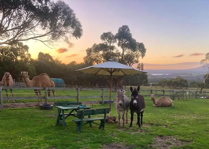 Galahad'S Animal Sanctuary B&B