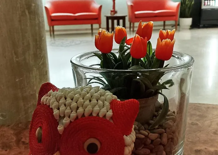 Hotel Anita B&B sul lungomare Gatteo