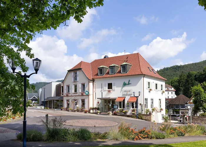 Logis Hotel Restaurant Muller