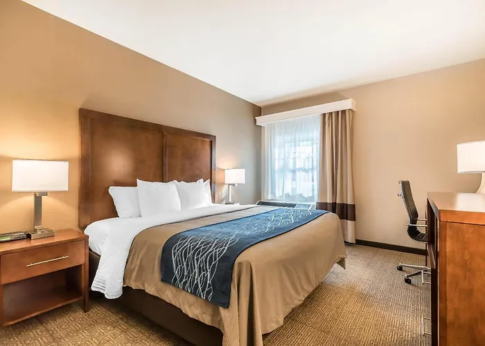 Comfort Inn Concord South End