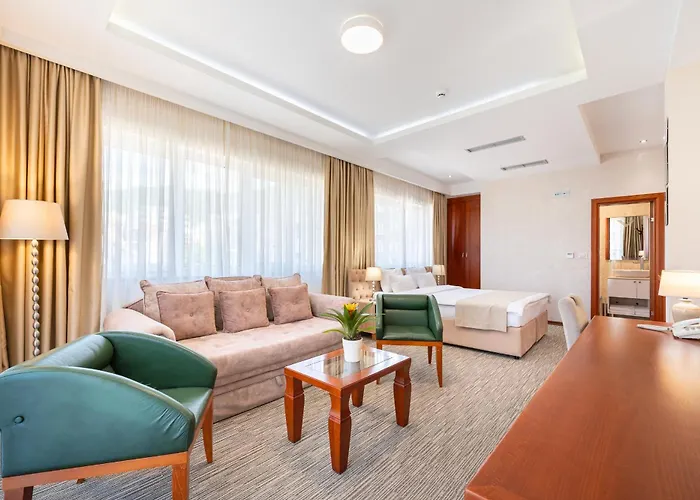 Hotel Montenegrino