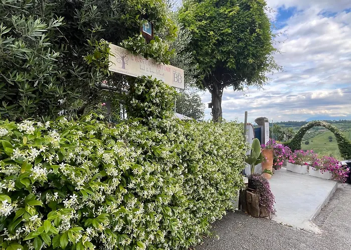 B&B L'Albero Di Antonia