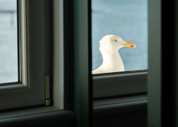 Mercure Roscoff Bord De Mer