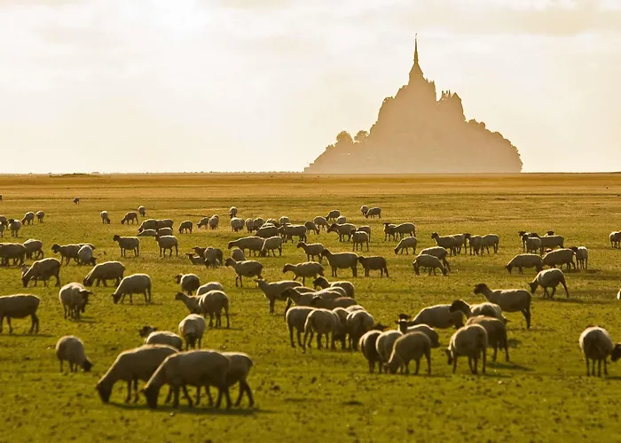 hotelF1 Avranches Baie Du Mont Saint Michel