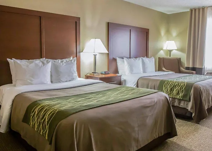 Comfort Inn Morris I-80
