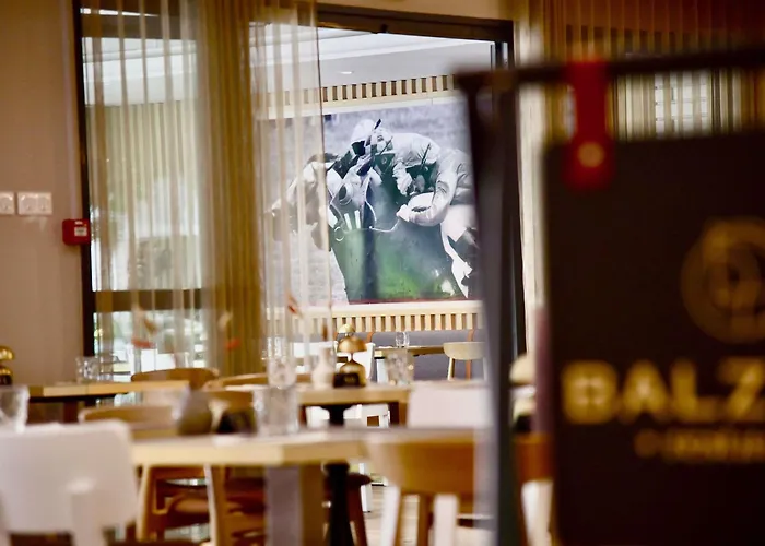 ibis Maisons Laffitte