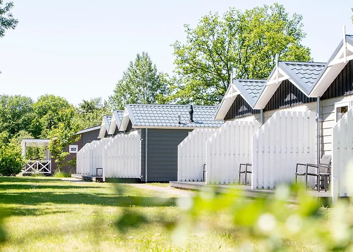 Vakantiepark Witterzomer Assen