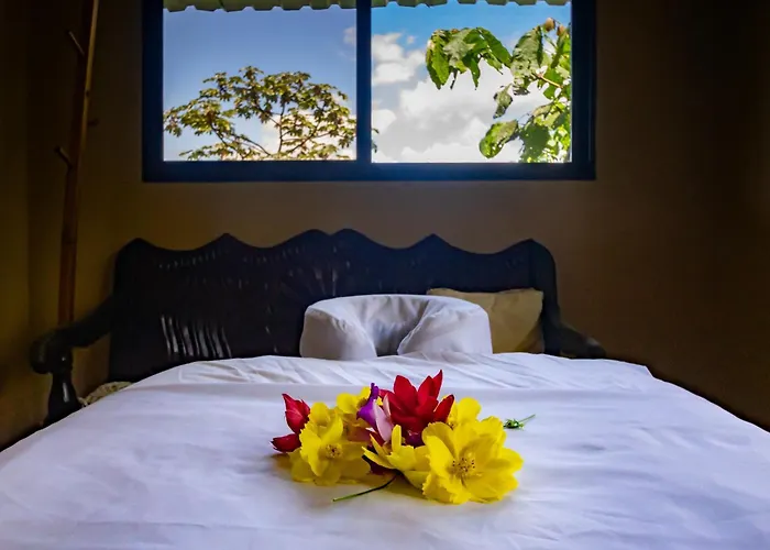 Essence Arenal Spa & Yoga