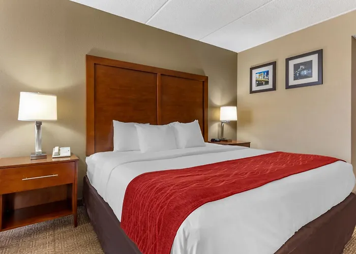 Comfort Inn Cranberry Twp