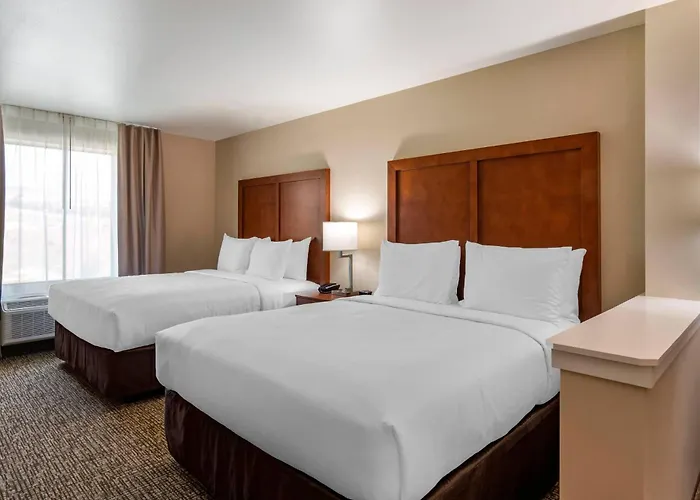 Comfort Inn & Suites Hollymead Town Center
