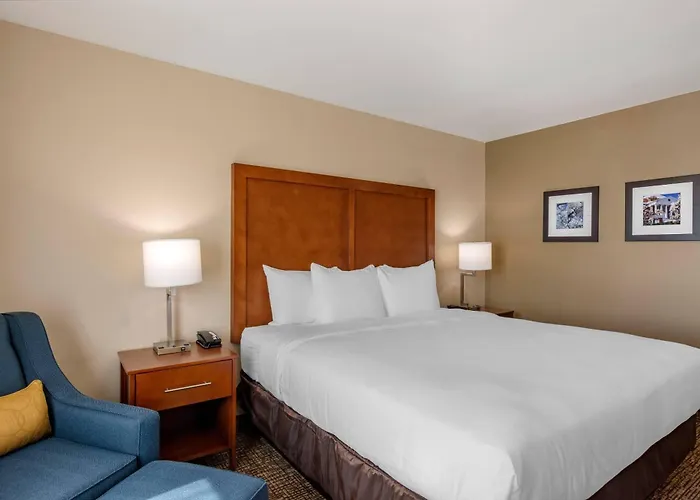 Comfort Inn & Suites Hollymead Town Center