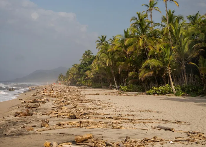 Lote 10 Tayrona Glamping