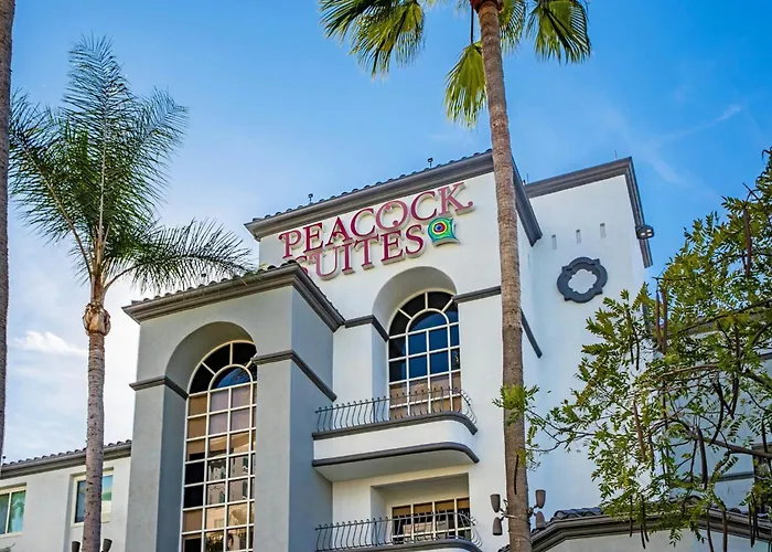 Peacock Suites