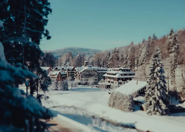 Savoy Spindleruv Mlyn