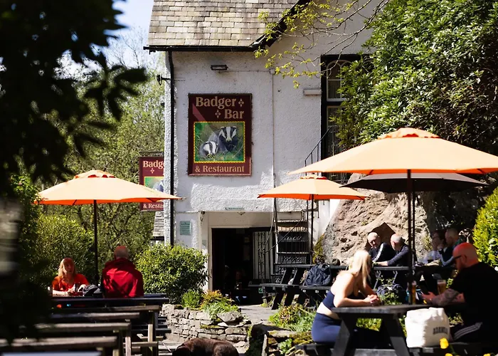 Badger Bar