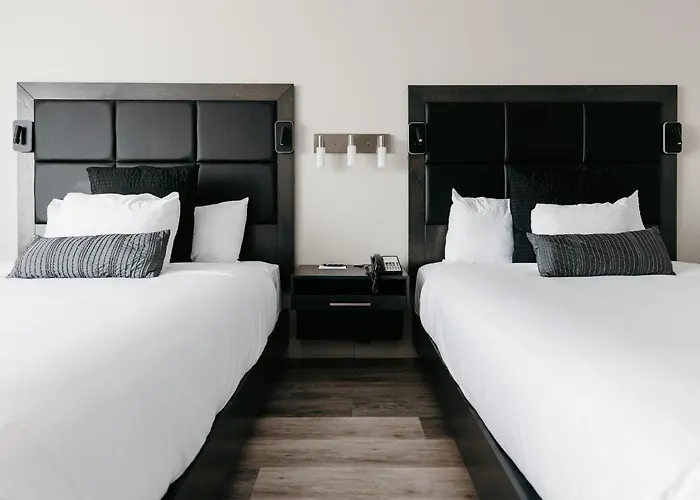 Hotel Universel Alma
