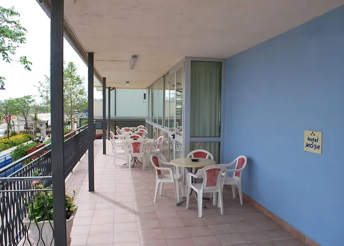 Hotel Moja