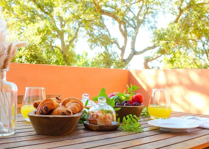 Aparthotel Royal Palm à Porto-Vecchio 