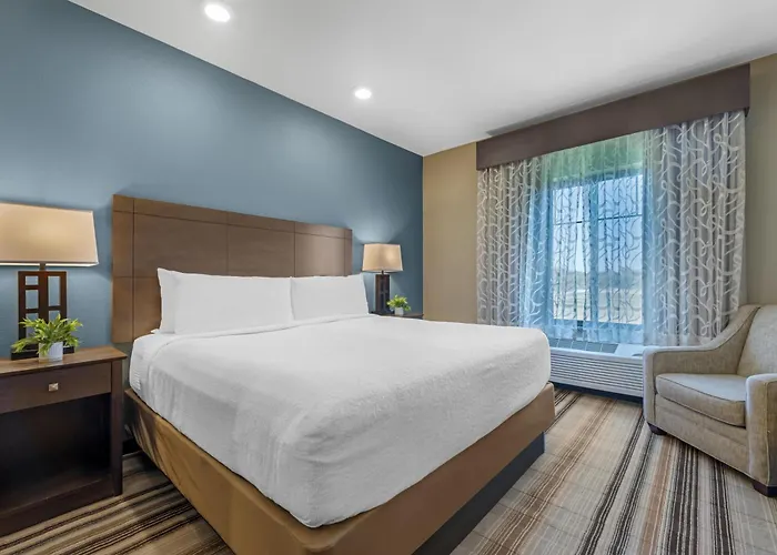 Best Western Plus Overland Inn