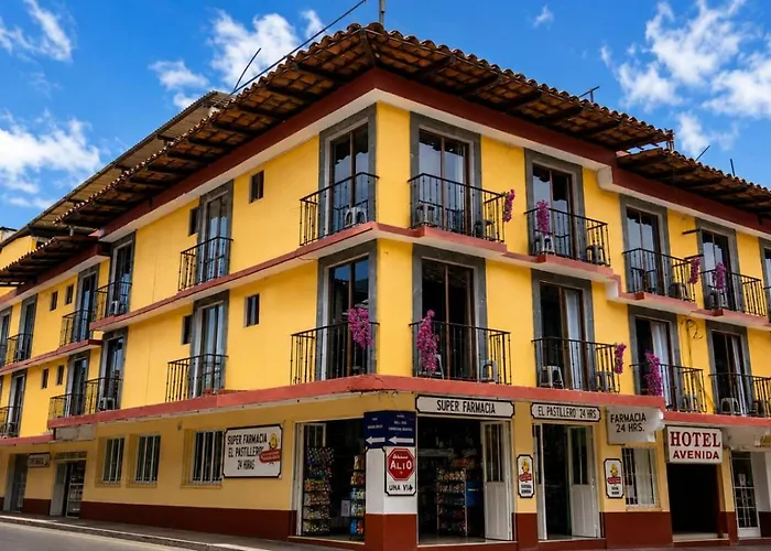 Hotel Avenida