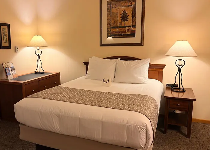 Whitetail Creek Resort