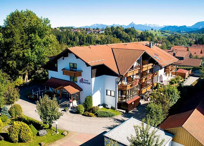 Akzent Alpenrose