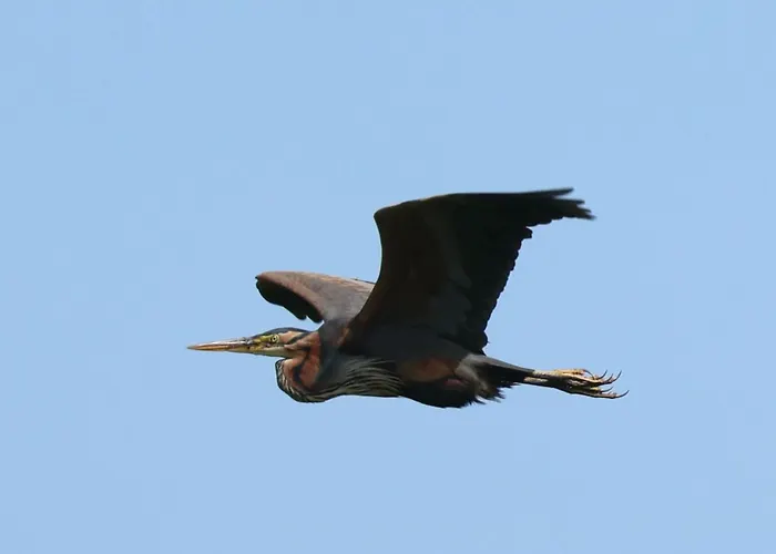 BenB Weerribben Wieden