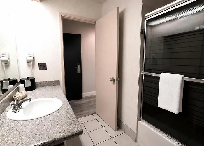 Hotel International