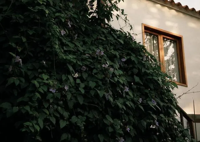 Hotel Jardin Boutique rodadero