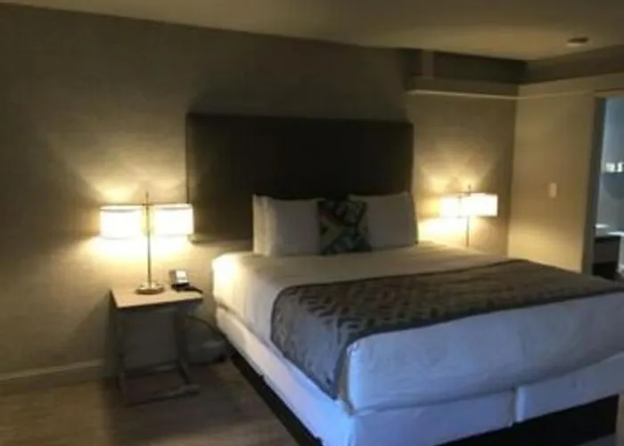 Arden Star Hotel