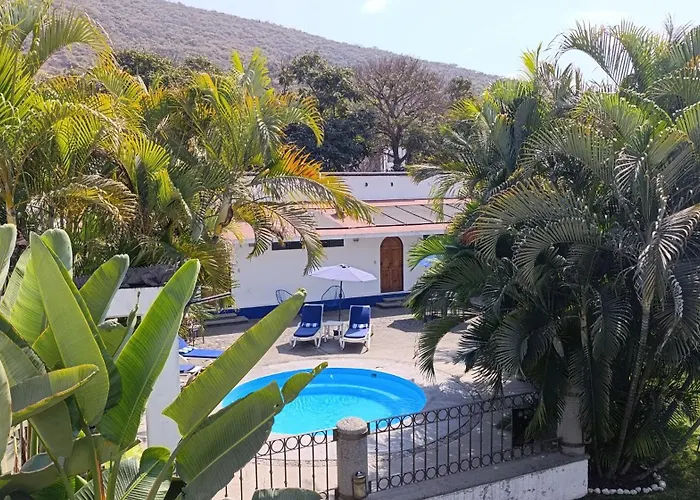 Hotel Iguanas