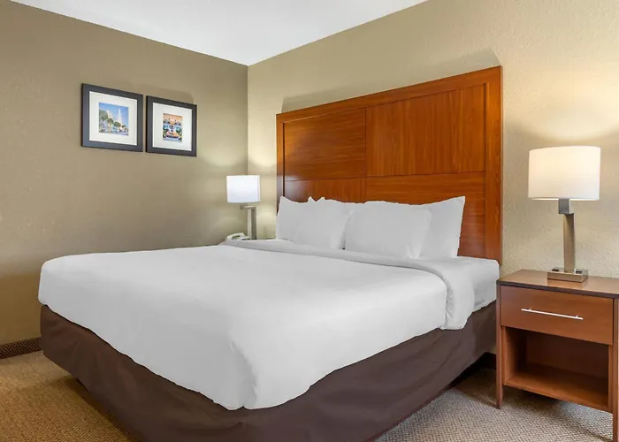 Comfort Inn & Suites Charleston Airport Convention Center
