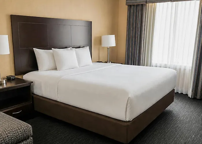 Comfort Inn & Suites Ambassador Bridge