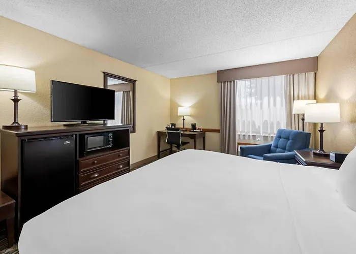 Comfort Inn At Thousand Hills