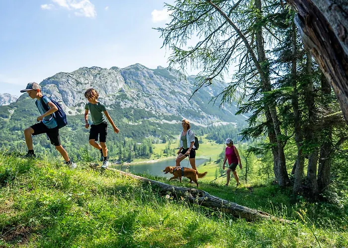 Alpen Arnika