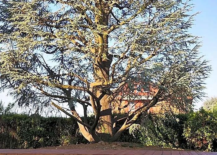 Villa Cresto