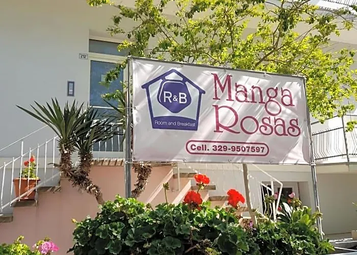 R&B Manga Rosas