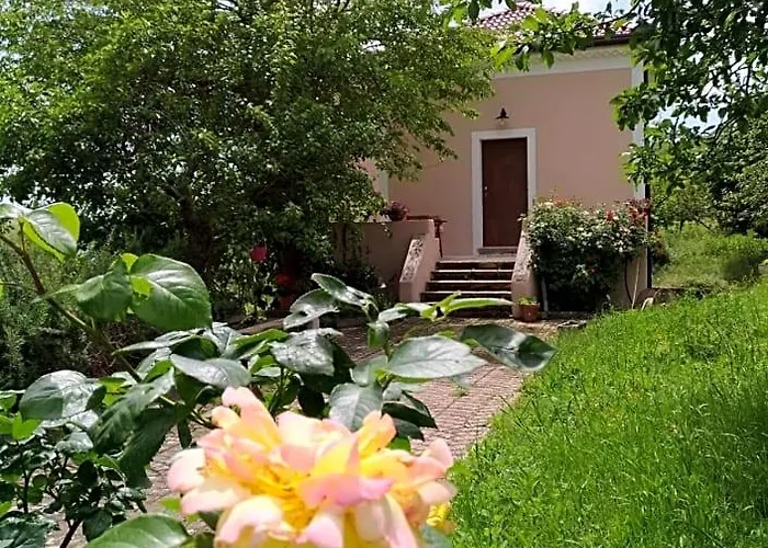 Bed and Breakfast L'Antico Gelso Viggiano