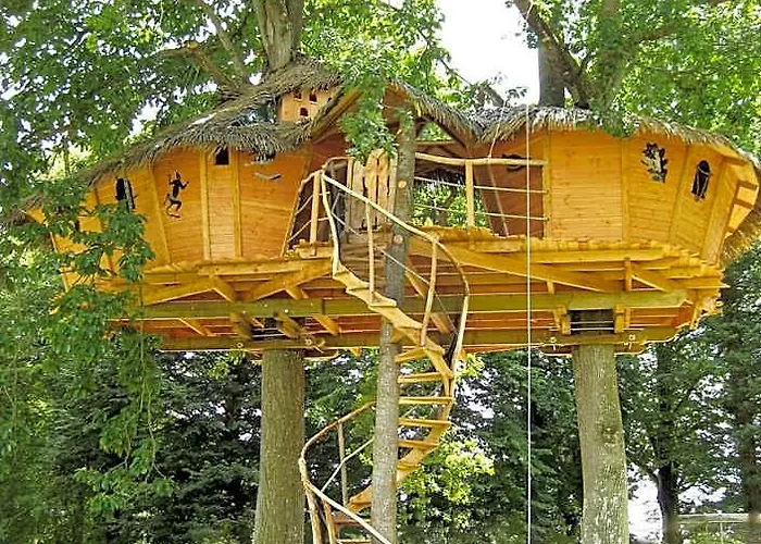 Insolite dans les arbres Les Ormes, Epiniac