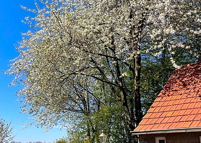 B&B Driel