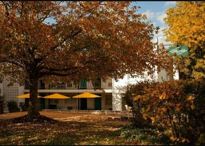 Little Mod Hotel At The University