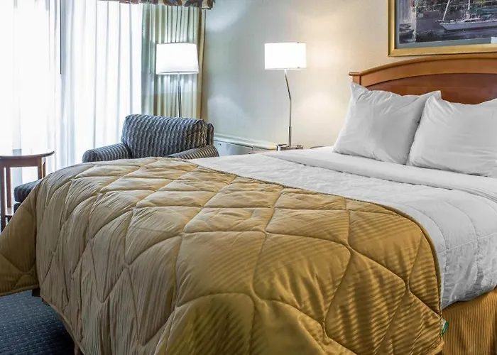 Lifestyle Inn Cedar Falls