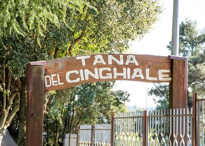 Tana Del Cinghiale