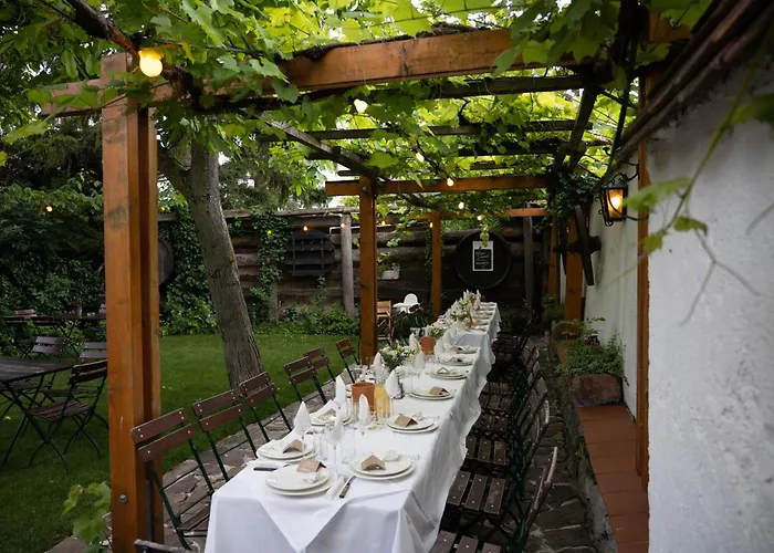 Winzerhotel Gumpoldskirchen