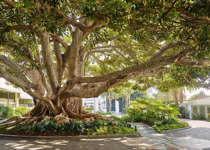 Fairmont Miramar Hotel & Bungalows