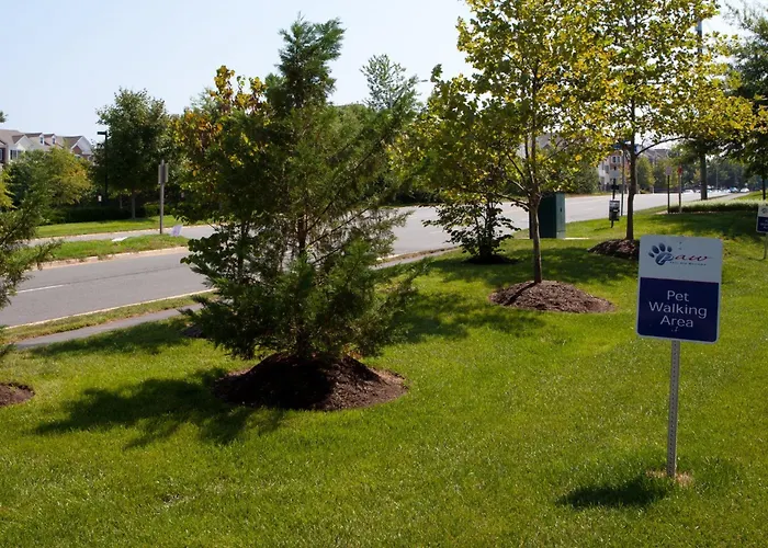 Candlewood Suites Washington-Dulles Herndon By Ihg