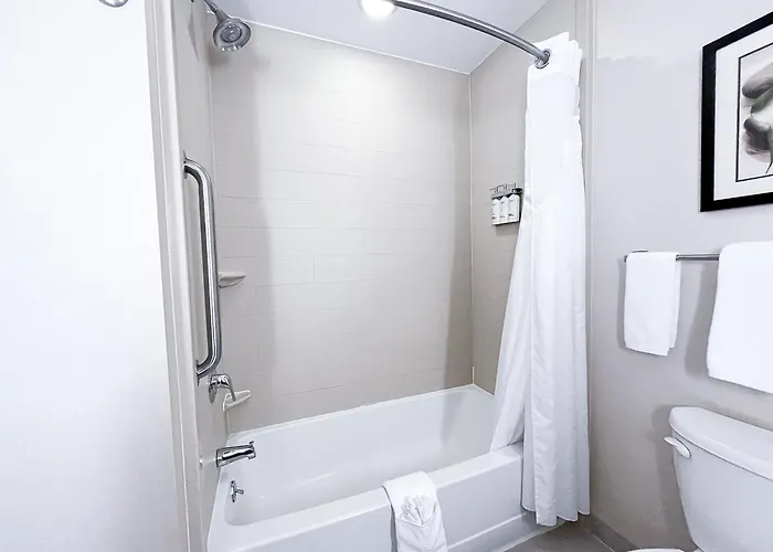 Holiday Inn Express & Suites Morton Peoria Area By Ihg