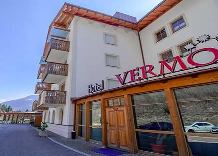 Hotel Vermoi