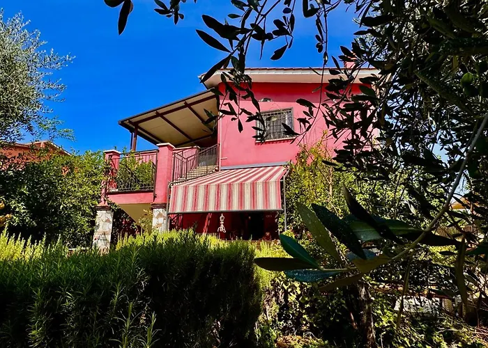 Bed&Breakfast degli ulivi